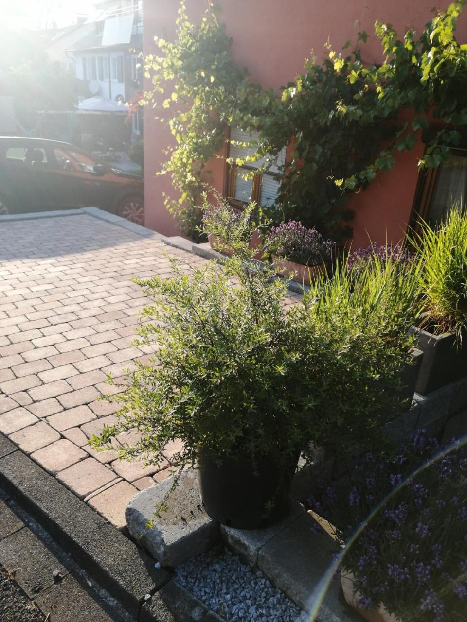 Haus Meersburg See Екстериор снимка